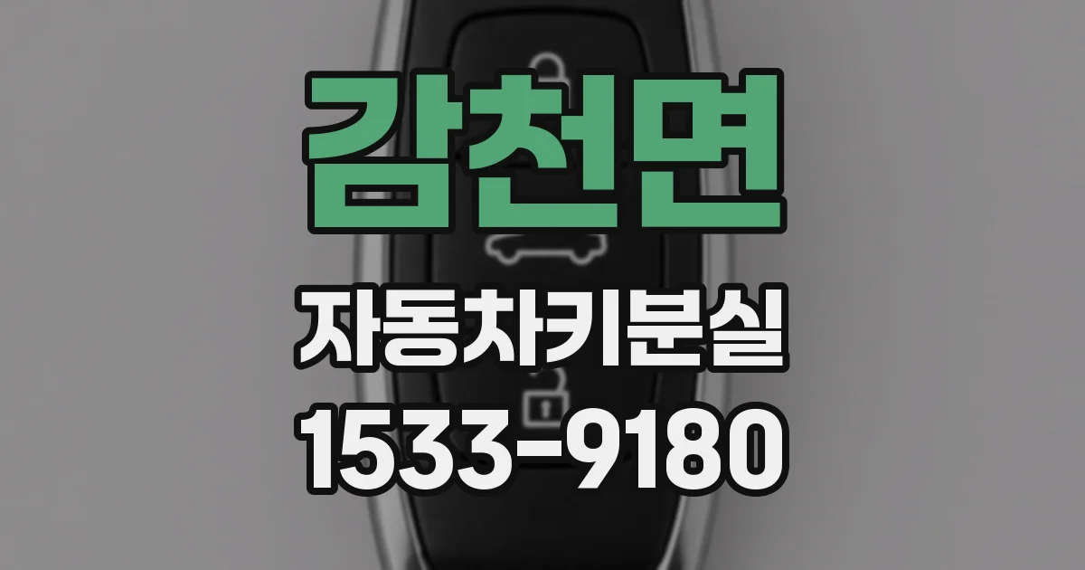 감천면 자동차키분실