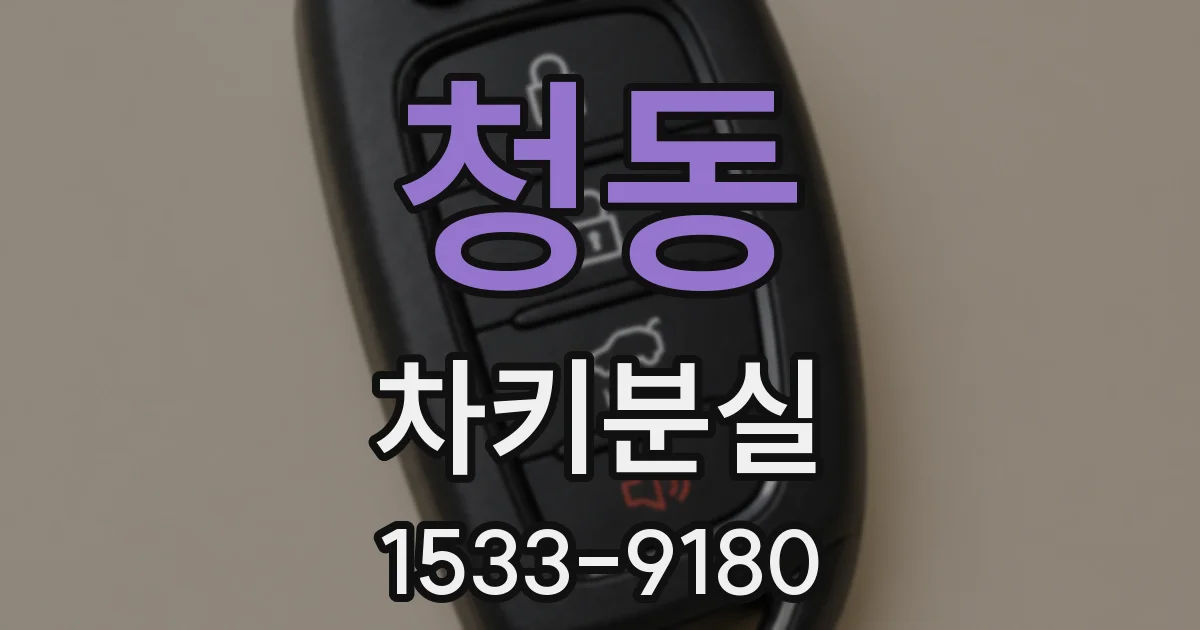 청동 차키분실