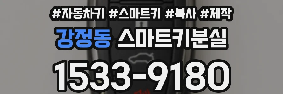 강정동 스마트키분실
