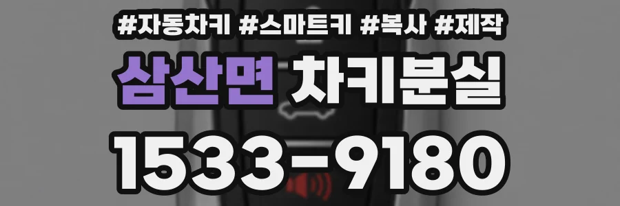 삼산면 차키분실
