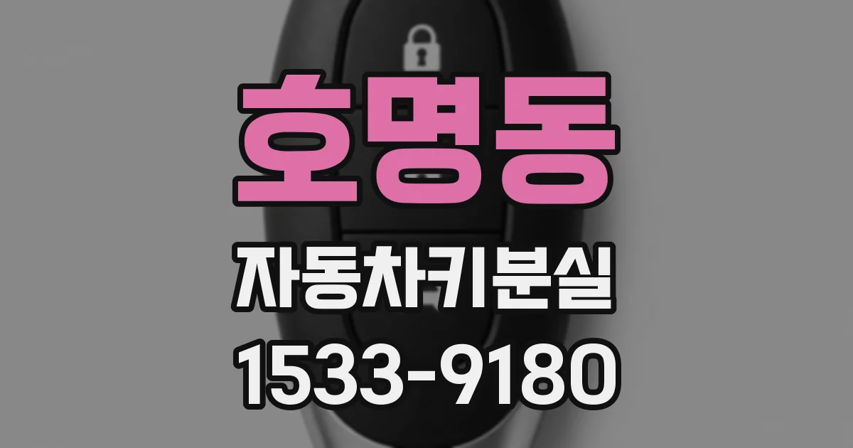 호명동 자동차키분실