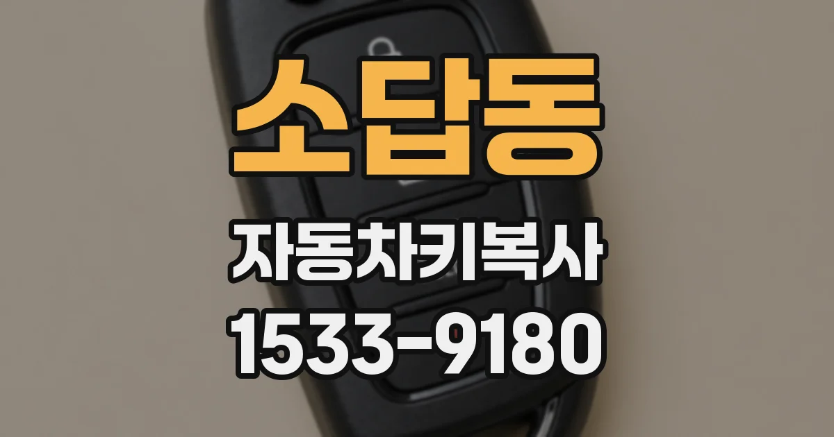 소답동 자동차키복사