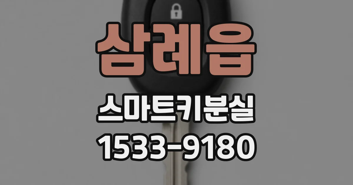 삼례읍 스마트키분실