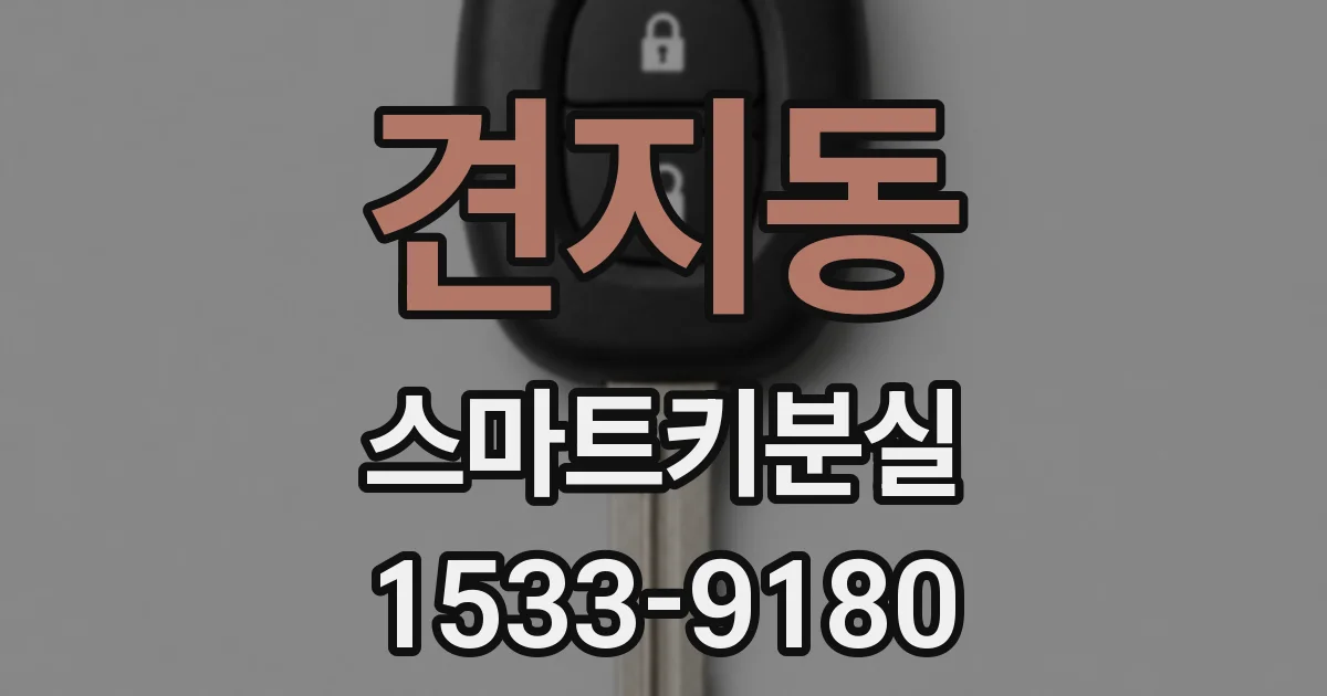 견지동 스마트키분실