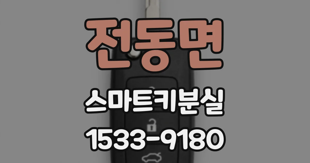 전동면 스마트키분실