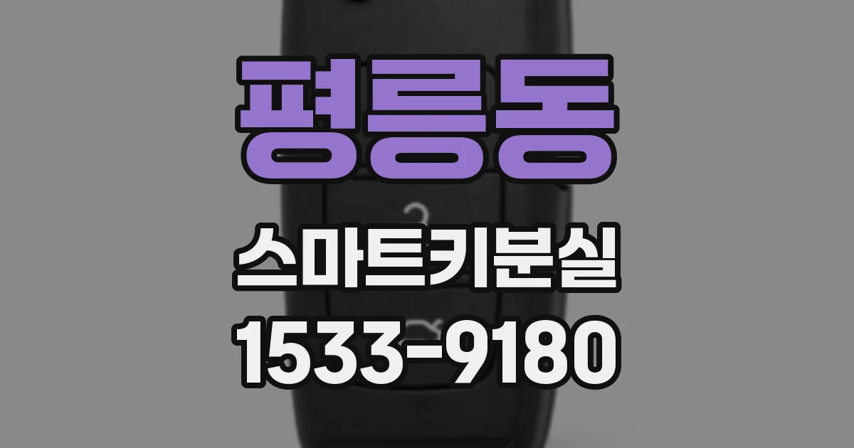 평릉동 스마트키분실
