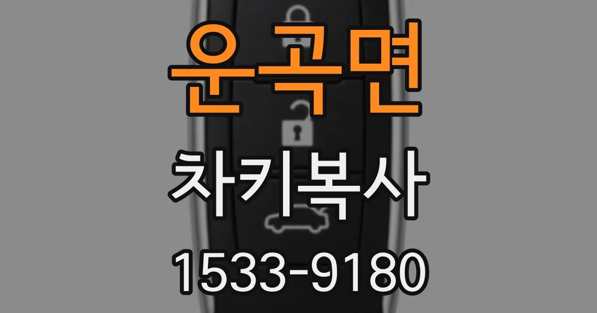 운곡면 차키복사