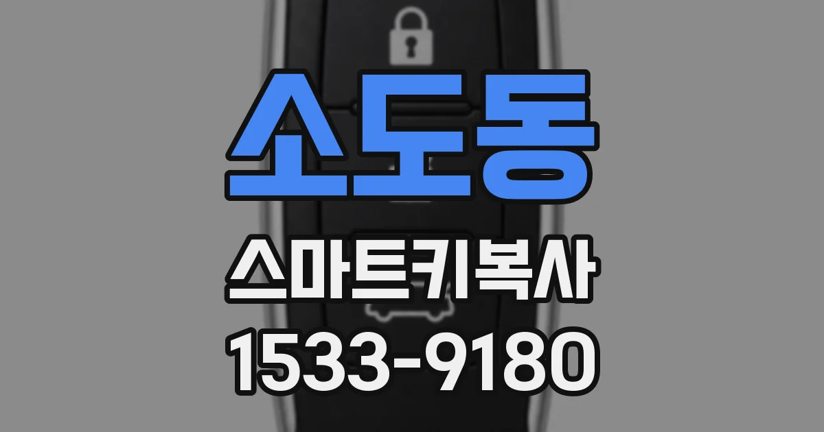 소도동 스마트키복사