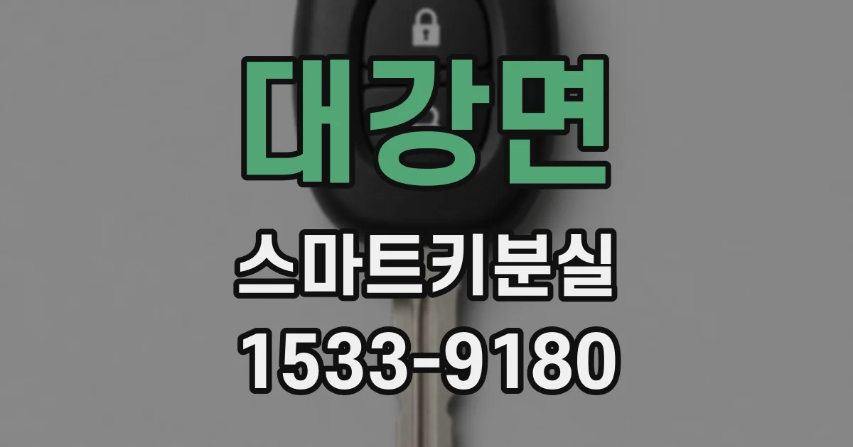 대강면 스마트키분실