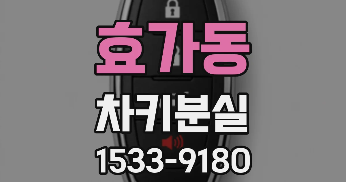 효가동 차키분실