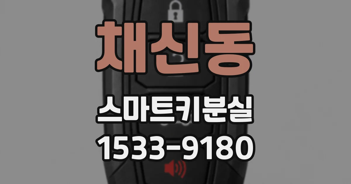 채신동 스마트키분실