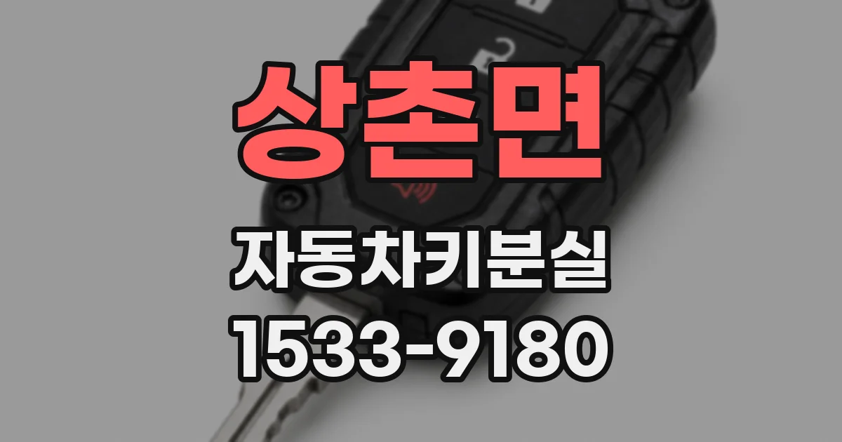 상촌면 자동차키분실