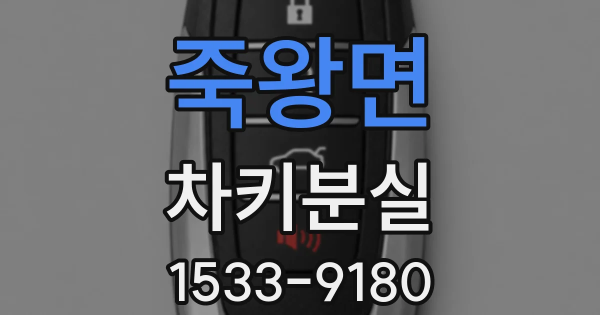죽왕면 차키분실