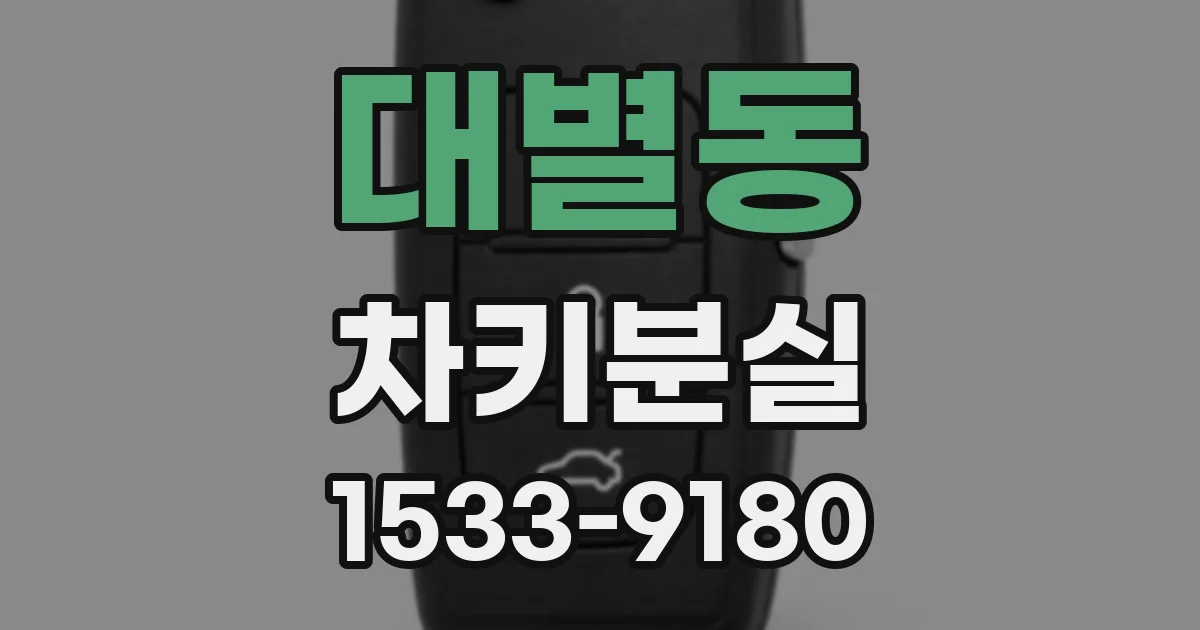 대별동 차키분실