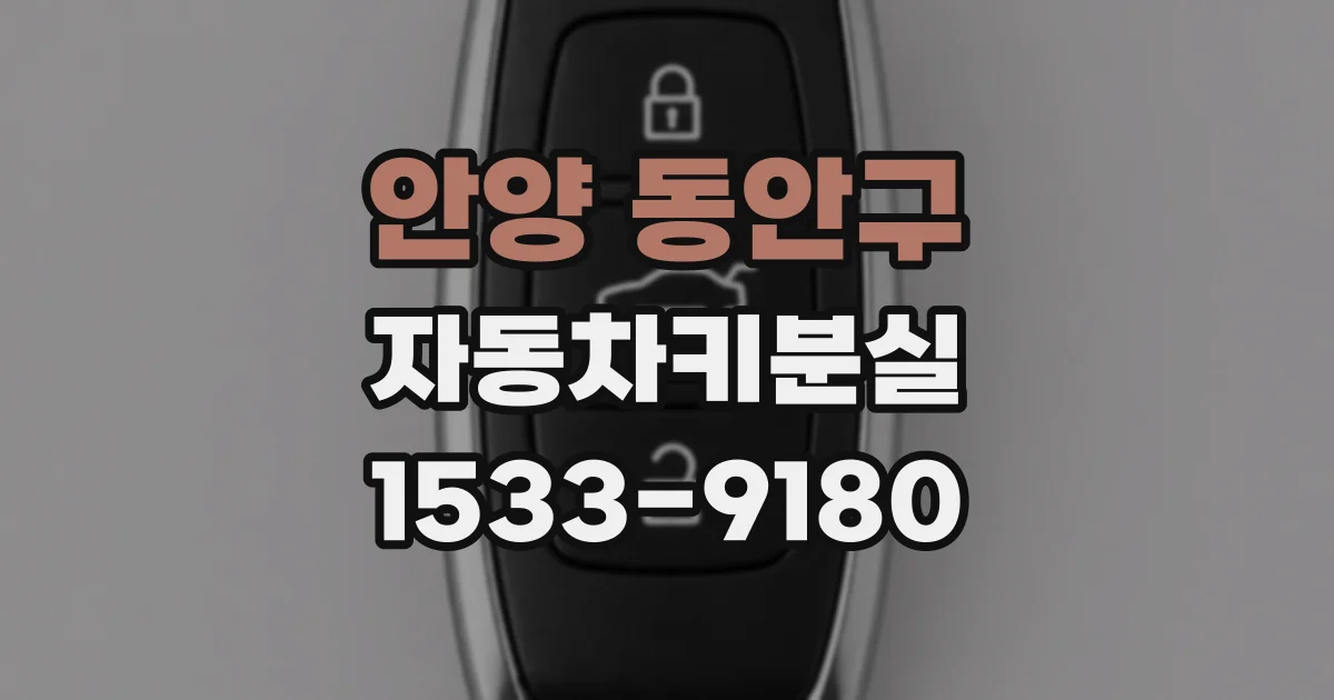 안양 동안구 자동차키분실
