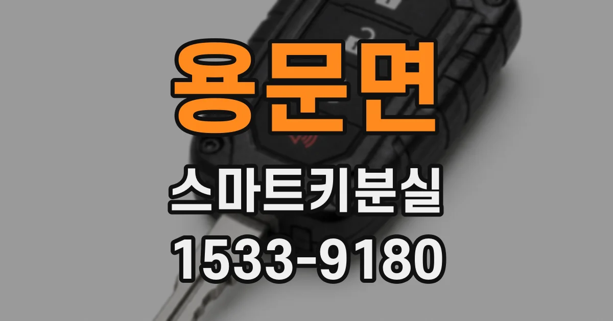 용문면 스마트키분실