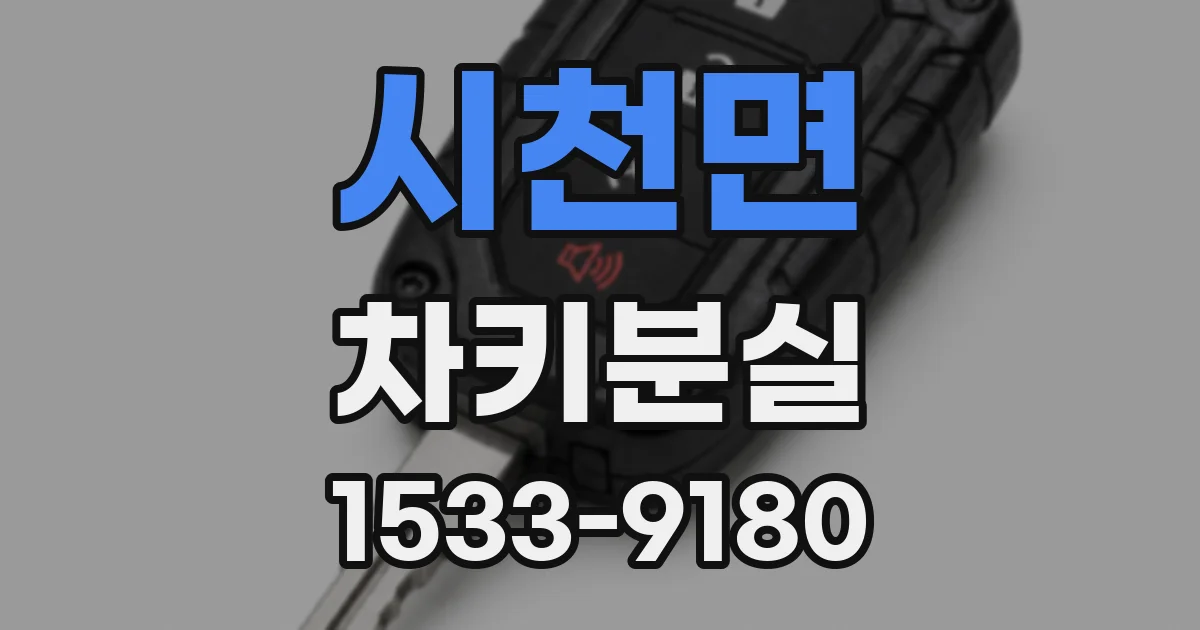 시천면 차키분실