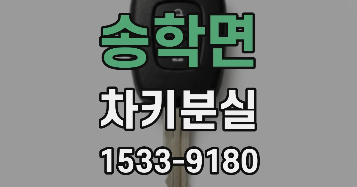 송학면 차키분실