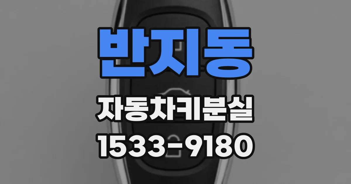 반지동 자동차키분실