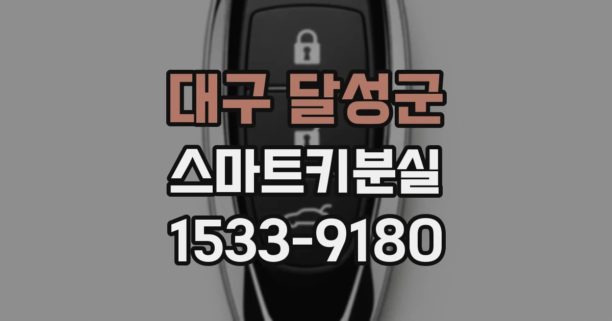 대구 달성군 스마트키분실