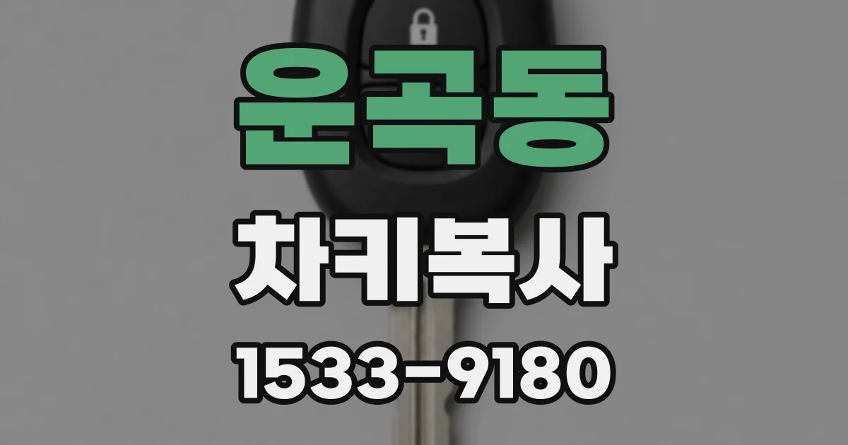 운곡동 차키복사