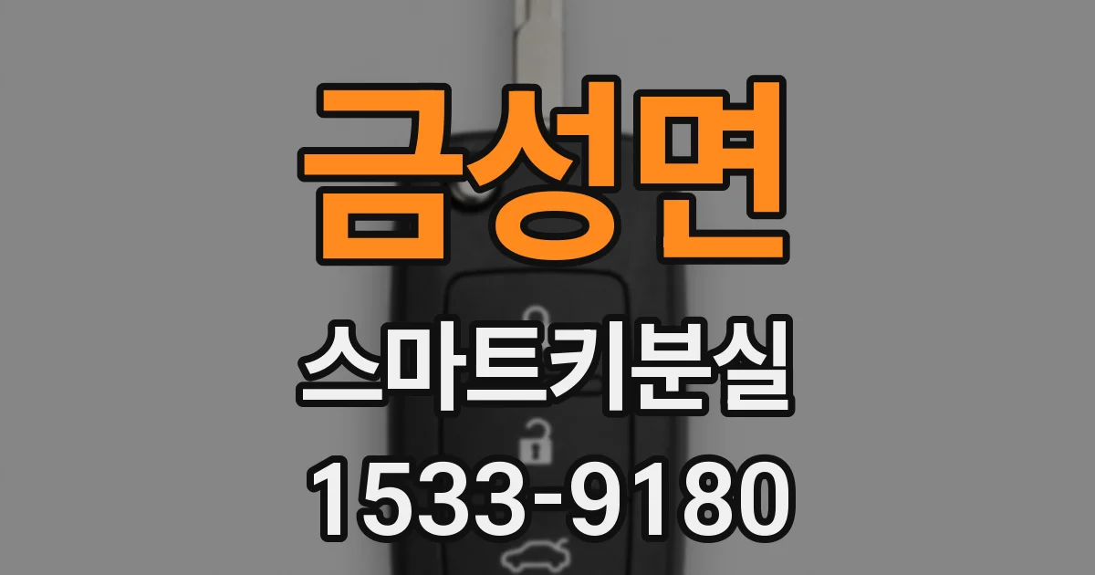 금성면 스마트키분실
