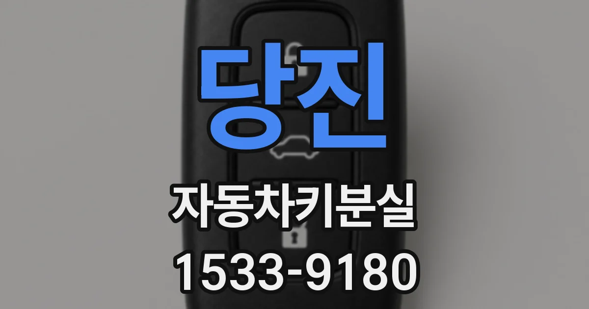 당진 자동차키분실