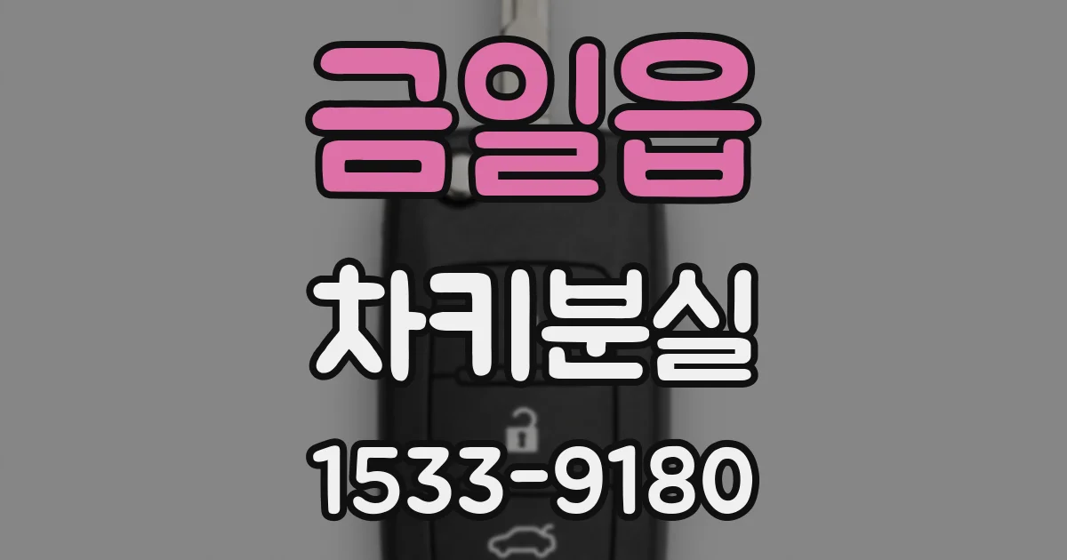 금일읍 차키분실