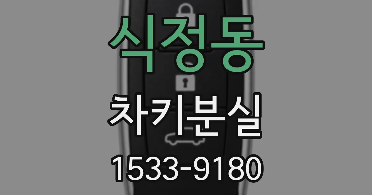 식정동 차키분실