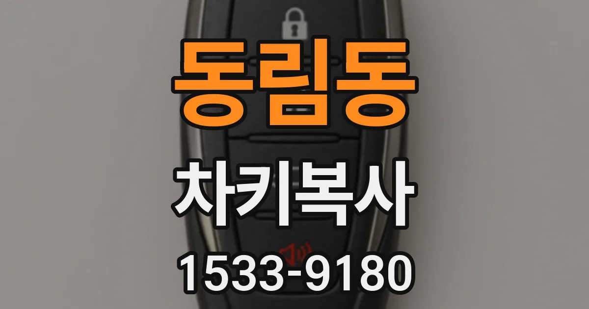 동림동 차키복사
