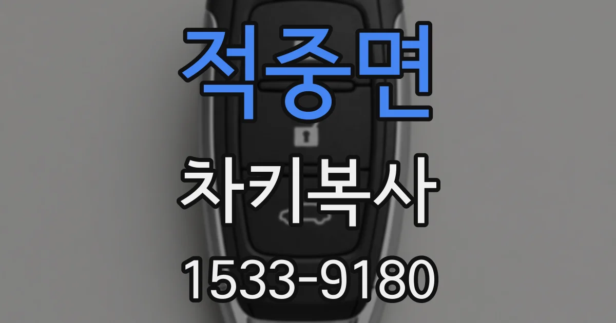 적중면 차키복사