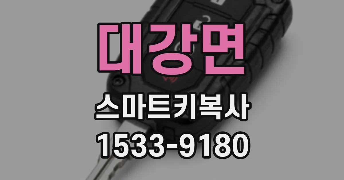 대강면 스마트키복사