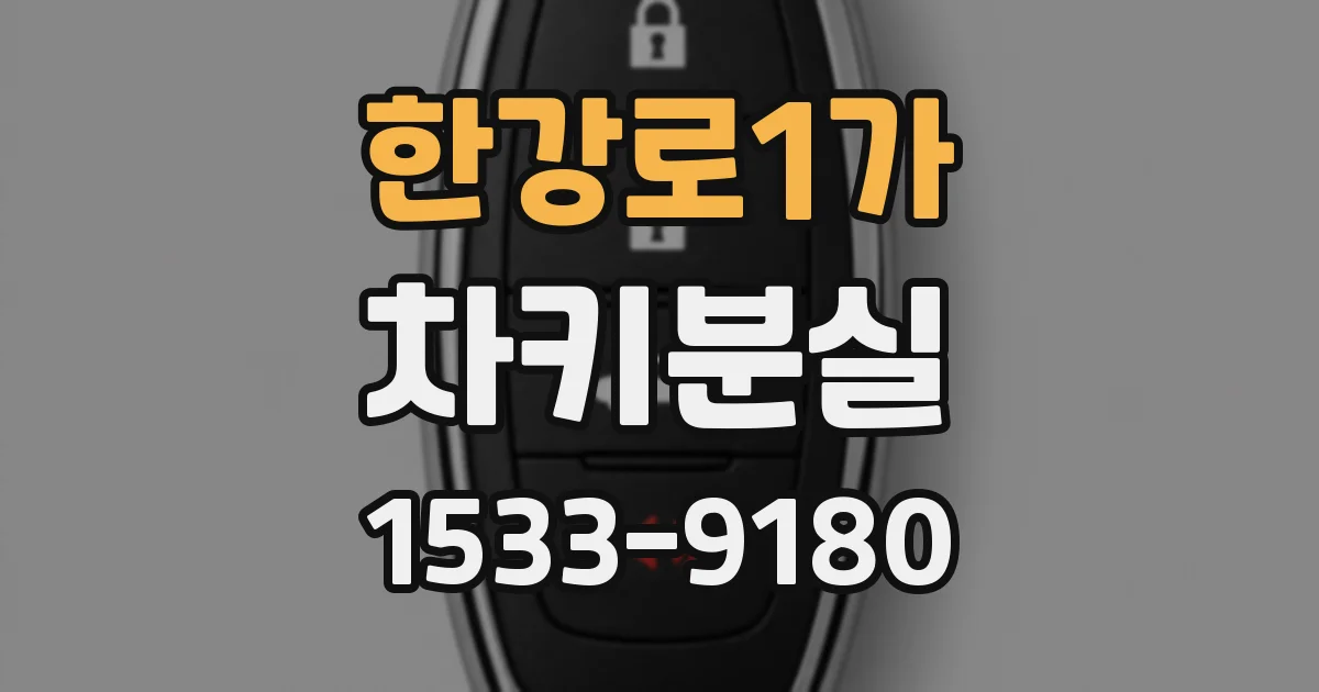 한강로1가 차키분실