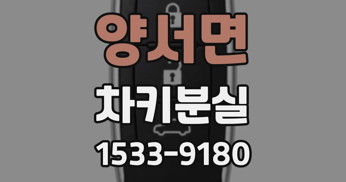 양서면 차키분실