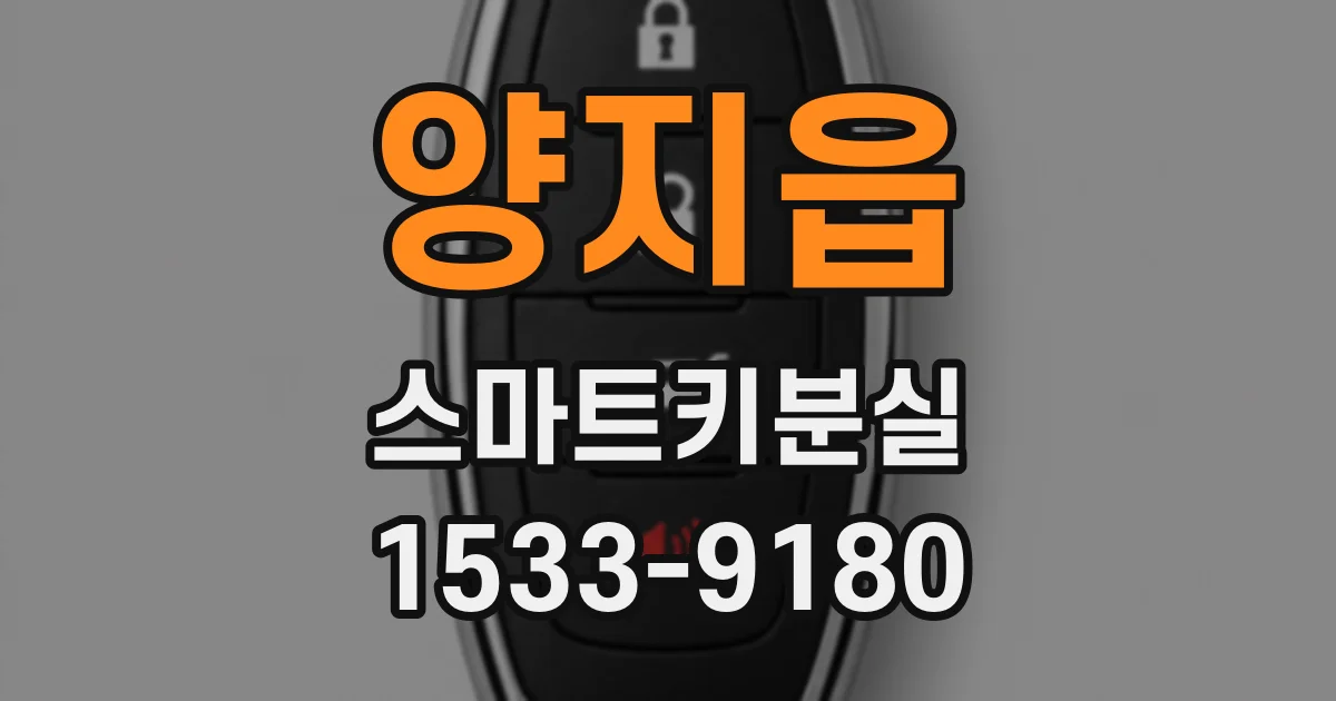 양지읍 스마트키분실