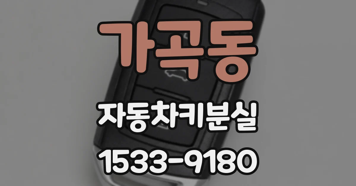 가곡동 자동차키분실