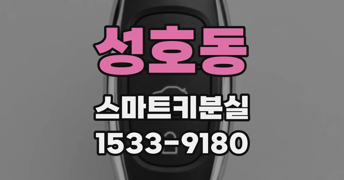 성호동 스마트키분실