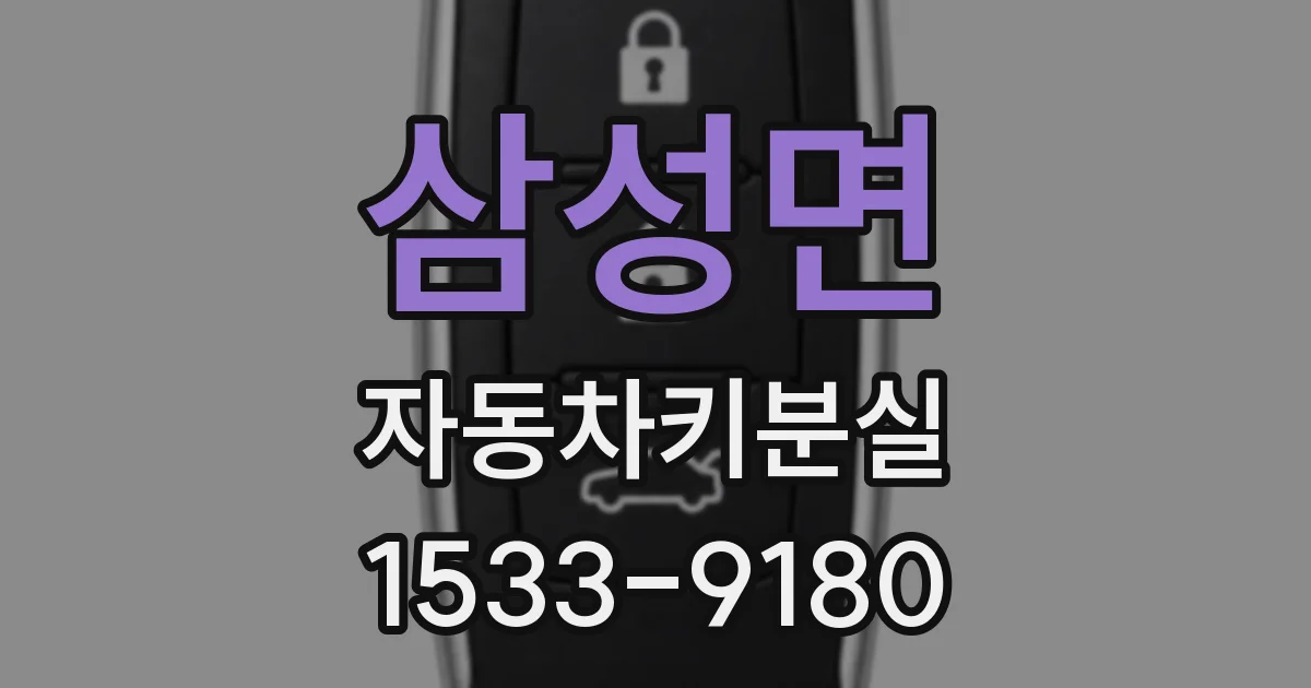 삼성면 자동차키분실