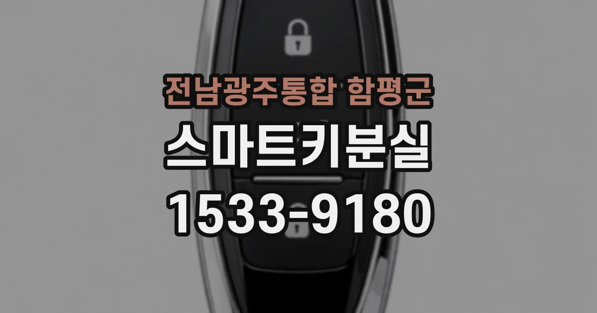 전남광주통합 함평군 스마트키분실