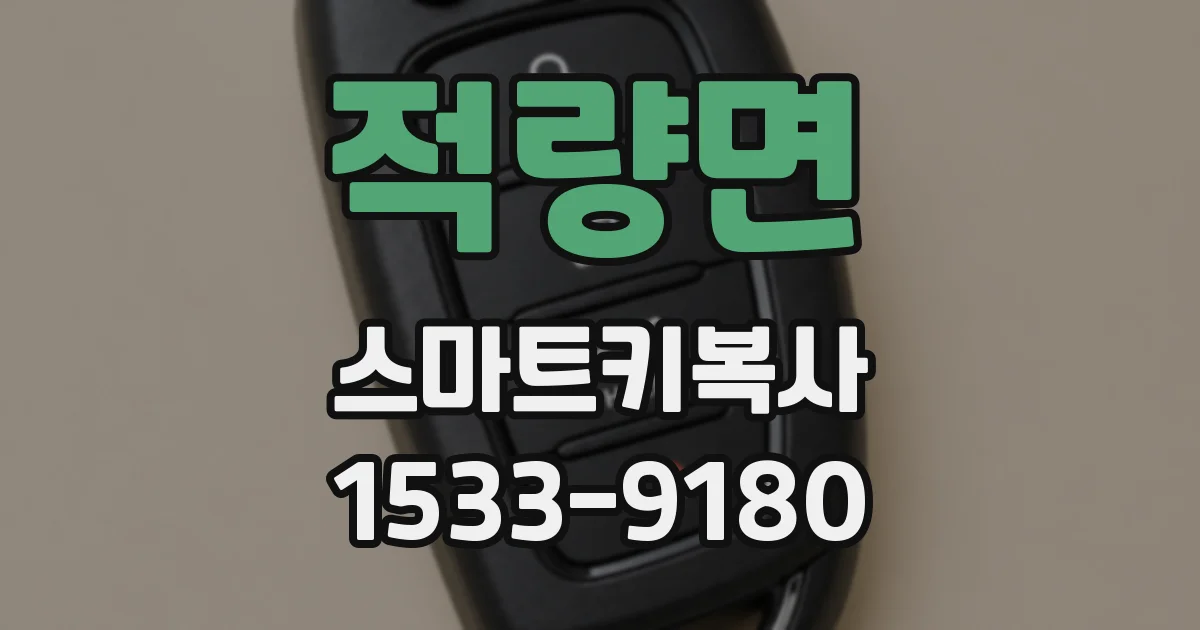 적량면 스마트키복사