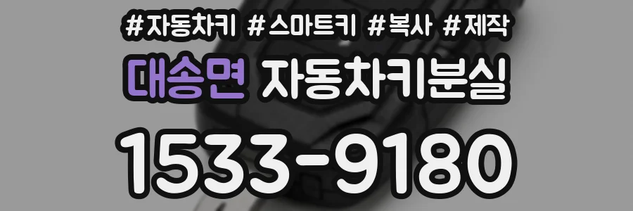 대송면 자동차키분실