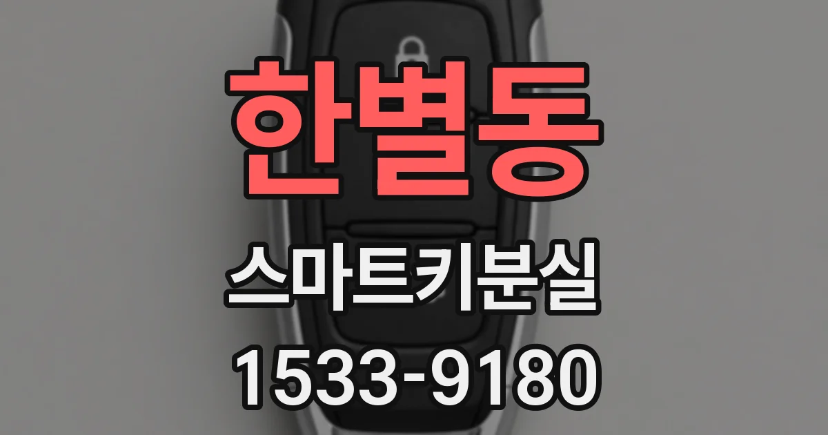 한별동 스마트키분실