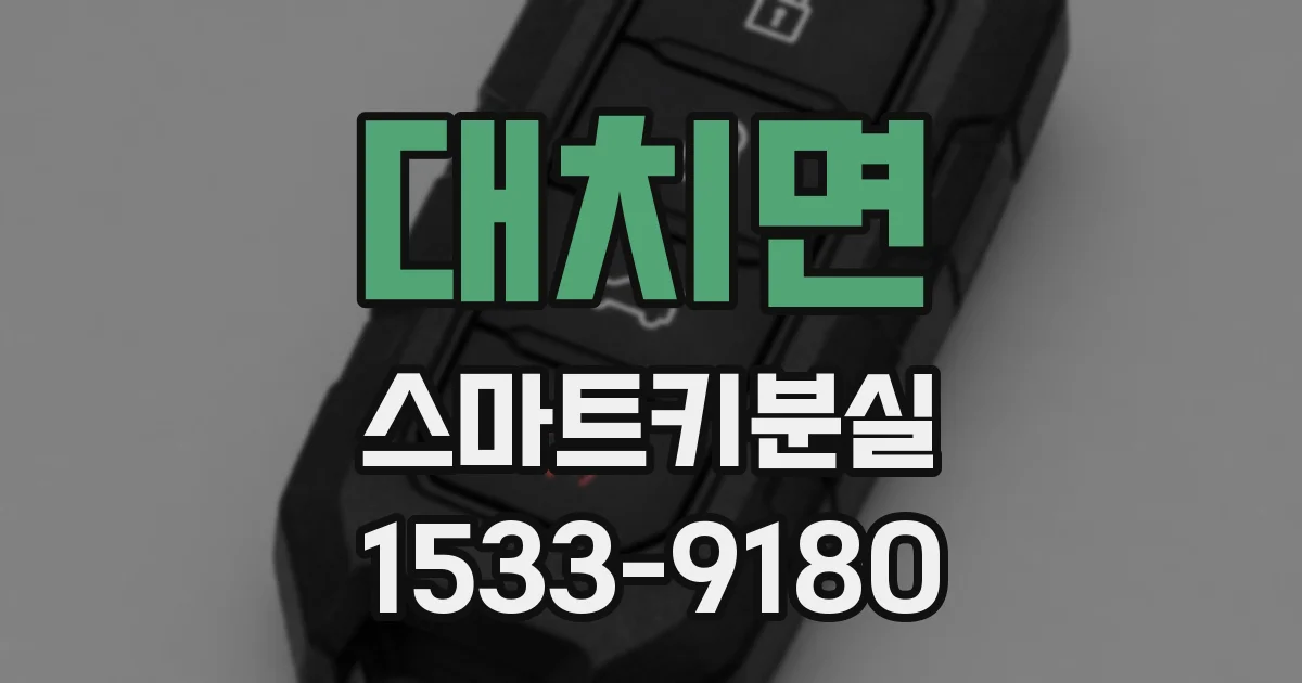 대치면 스마트키분실