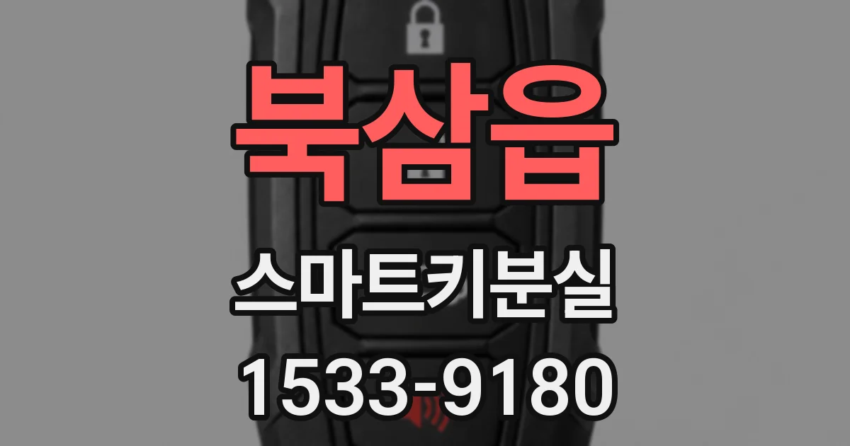 북삼읍 스마트키분실