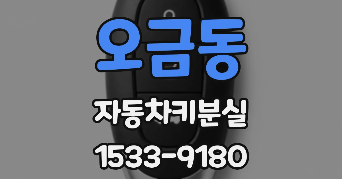 오금동 자동차키분실