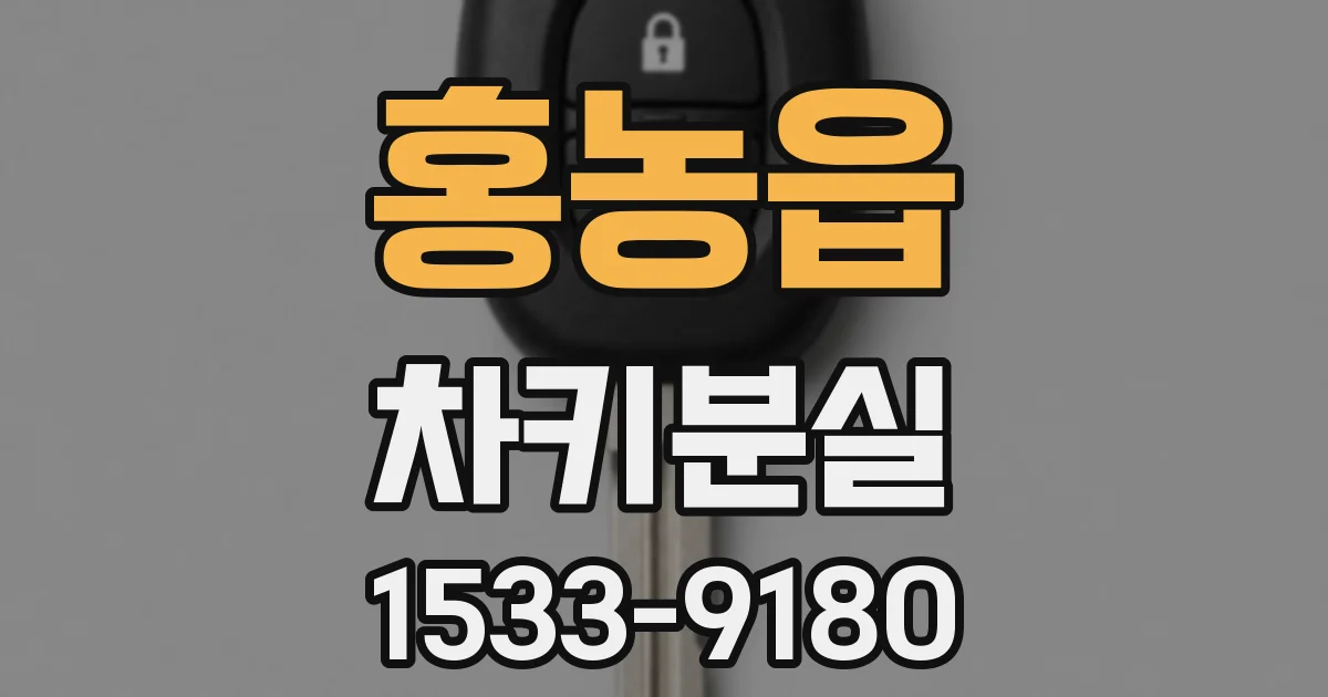 홍농읍 차키분실