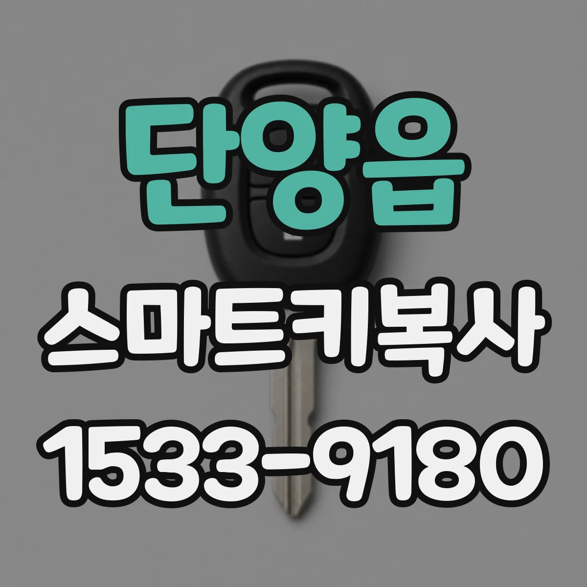 단양읍 스마트키복사