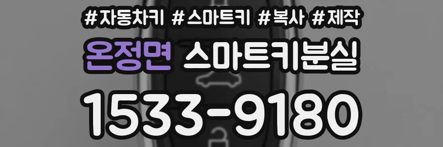 온정면 스마트키분실