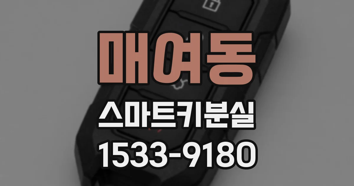 매여동 스마트키분실