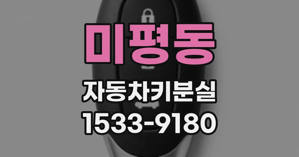 미평동 자동차키분실